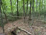 0 Skylake And Wheeler Ridge Road - Photo 14