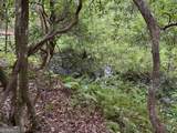 0 Skylake And Wheeler Ridge Road - Photo 5
