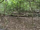 0 Skylake And Wheeler Ridge Road - Photo 6