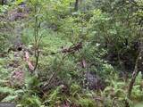 0 Skylake And Wheeler Ridge Road - Photo 7