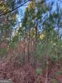 280 Woodville Philomath Road - Photo 7