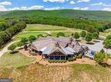 117 Tulip Tree Court - Photo 7