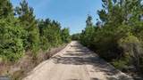 TRACT 1 Tillman Cemetery Road - Photo 12