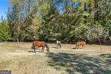7790 Atlanta Newnan Road - Photo 6