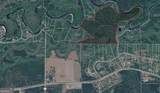 75+/- ACRES Lewis Landing - Photo 4