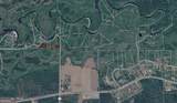 75+/- ACRES Lewis Landing - Photo 5