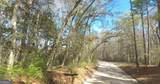 75+/- ACRES Lewis Landing - Photo 6