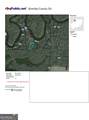 75+/- ACRES Lewis Landing - Photo 7