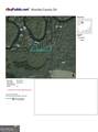75+/- ACRES Lewis Landing - Photo 8