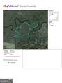 75+/- ACRES Lewis Landing - Photo 9
