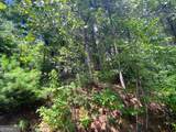 LOT 29 Lake Rabun Bluffs Drive - Photo 11