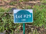 LOT 29 Lake Rabun Bluffs Drive - Photo 2