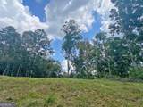 3.3AC Trillium Trail - Photo 4