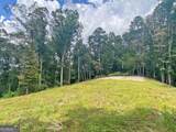 3.3AC Trillium Trail - Photo 5