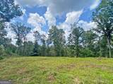 3.3AC Trillium Trail - Photo 6