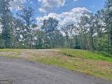 3.3AC Trillium Trail - Photo 7