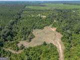 0 Nicholson-Carr Road - Photo 13