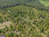 0 Nicholson-Carr Road - Photo 17