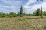 0 Nicholson-Carr Road - Photo 30
