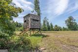 0 Nicholson-Carr Road - Photo 33