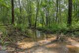0 Nicholson-Carr Road - Photo 39