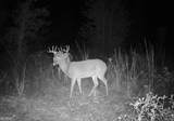 0 Nicholson-Carr Road - Photo 47