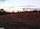 0 Nicholson-Carr Road - Photo 51