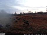 0 Nicholson-Carr Road - Photo 54
