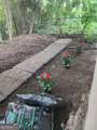 200 Cave Spring Street - Photo 3