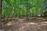 3616 Lively Oak Drive - Photo 2