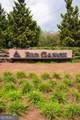 40 Treetopper Lane - Photo 44
