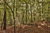 5.76AC Heidi Trail - Photo 5