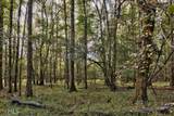 5.76AC Heidi Trail - Photo 8