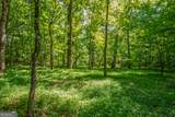 0 Doster Road - Photo 11