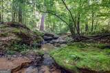 0 Doster Road - Photo 12