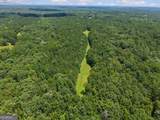 0 Doster Road - Photo 13