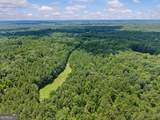 0 Doster Road - Photo 14