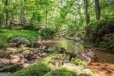 0 Doster Road - Photo 6