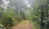 4 County Road 244 - Photo 42