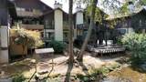 854 Edelweiss Strasse - Photo 50