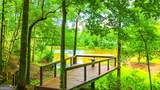 11 Edgewater Court - Photo 118