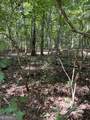 0 Davidson Road - Photo 9