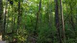 0 Allgood Road - Photo 19