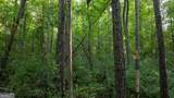 0 Allgood Road - Photo 20
