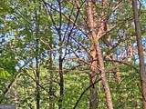 10.59AC T S Jarrard Road - Photo 10