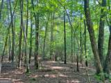 10.59AC T S Jarrard Road - Photo 12