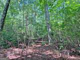 10.59AC T S Jarrard Road - Photo 14