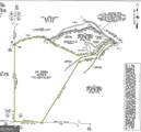10.59AC T S Jarrard Road - Photo 16