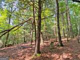 10.59AC T S Jarrard Road - Photo 6