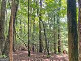 10.59AC T S Jarrard Road - Photo 8